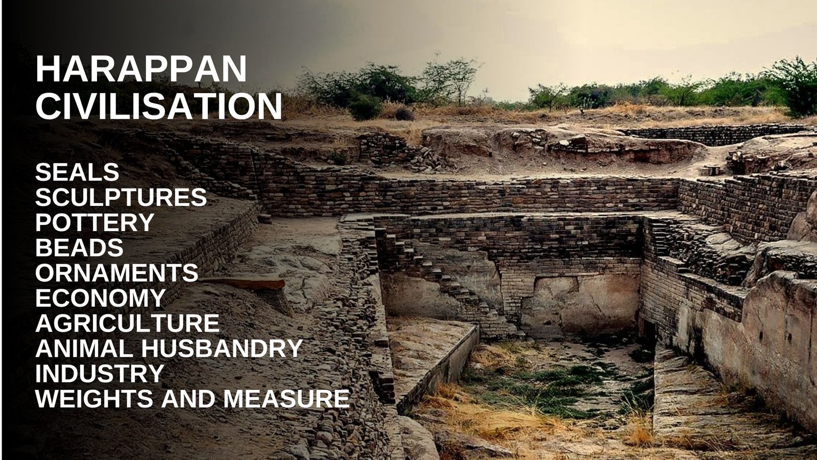 Harappan Civilisation