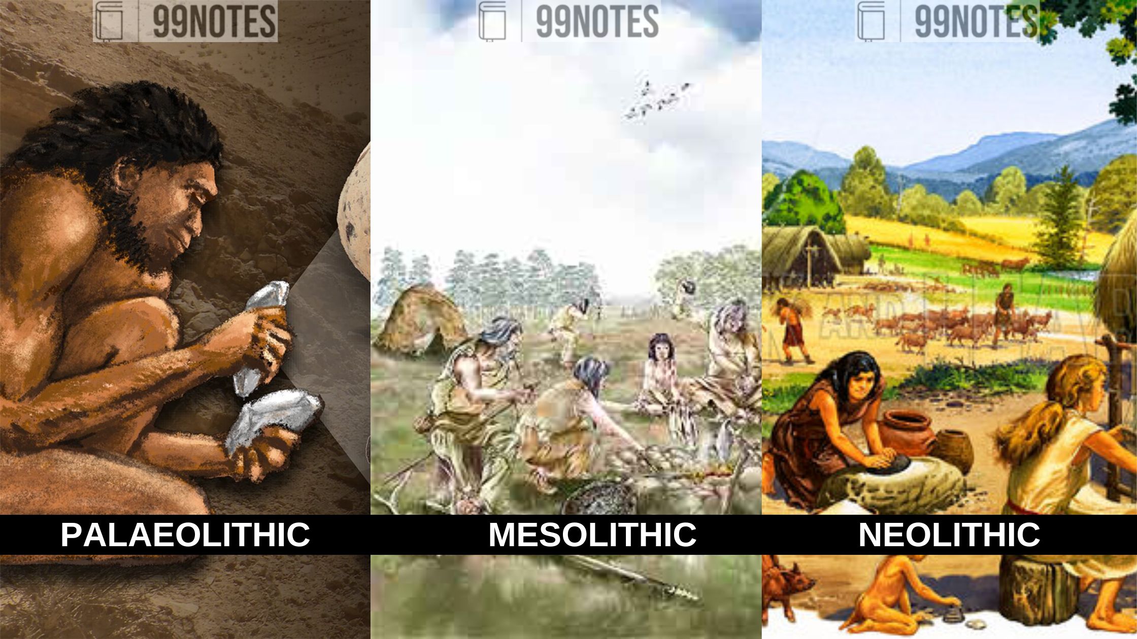 What Is History- Stone Age Types