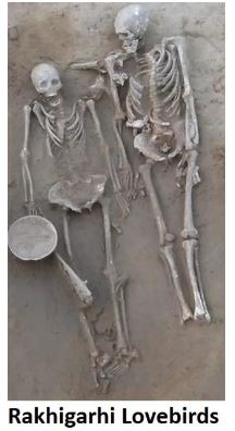 Rakhigarhi Skeleton Of Lovebirds- Indus Valley Civilization