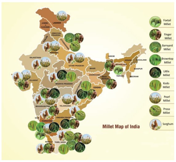 Everything You Need To Know About Agriculture And Food Management