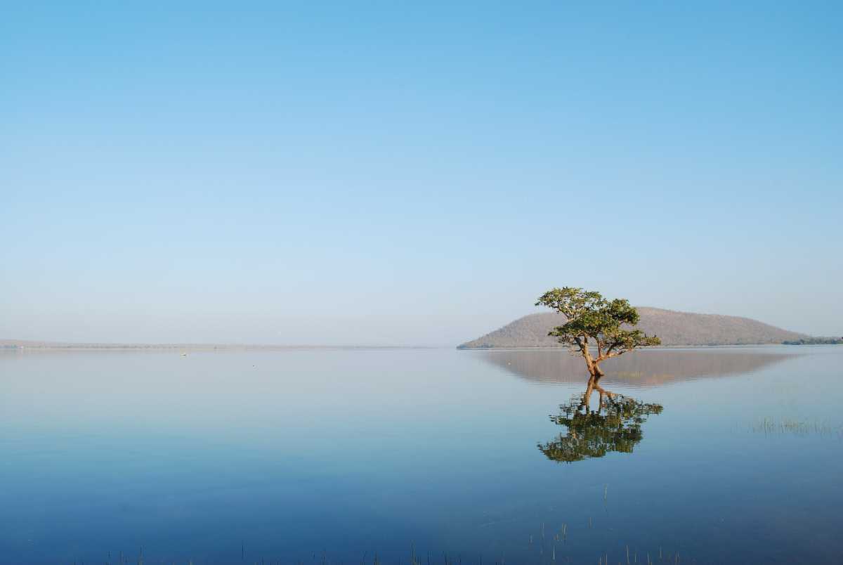 Pakhal Lake And Wildlife Sanctuary- Warangal District Of Telangana