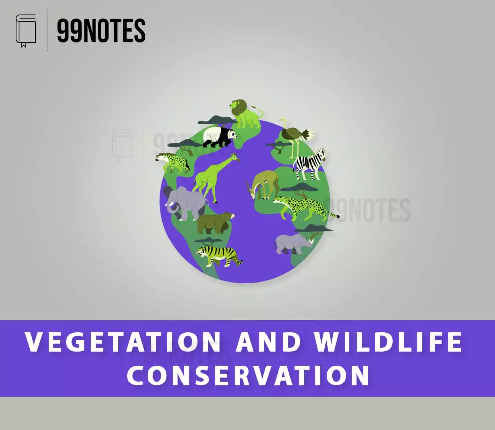 Environment | Updated December 3, 2023 Everything You Need To Know About Environment