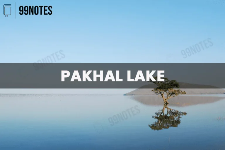 Everything You Need To Know About Pakhal Lake