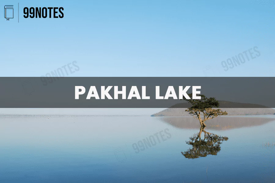 Everything You Need To Know About Pakhal Lake