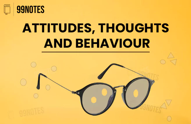 Everything You Need To Know About Attitudes