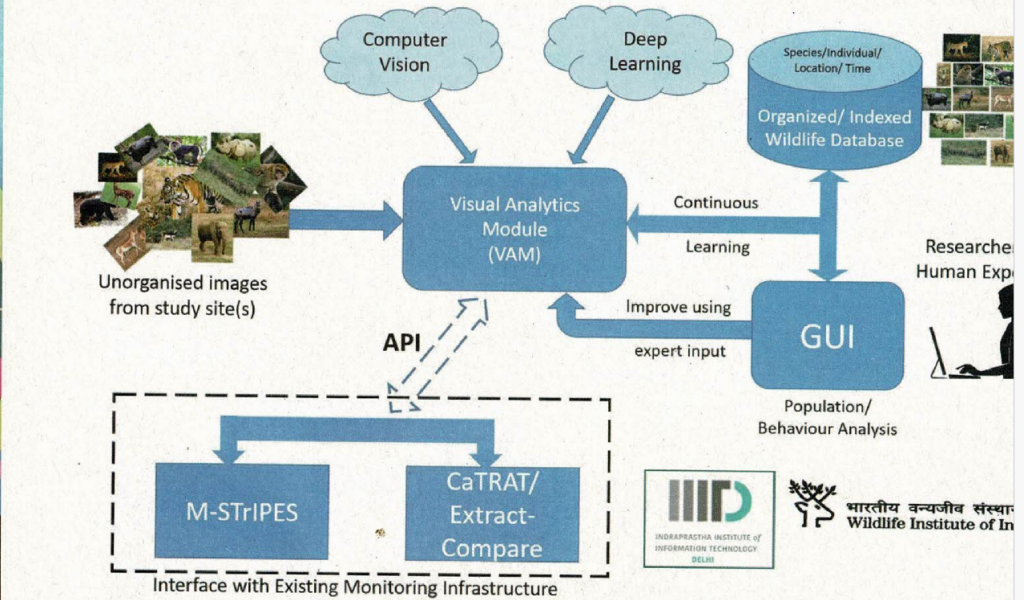 Visual Analytics Module (VAM)