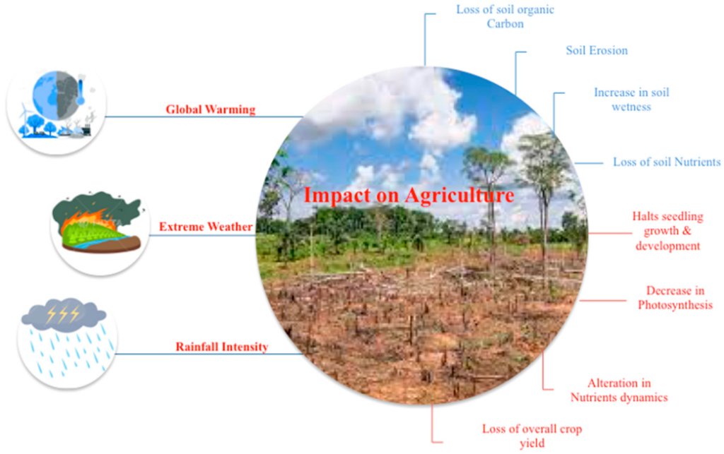 Climate Change Impact on Agriculture