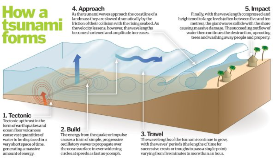 Everything You Need To Know About How The 2004 Indian Ocean Quake Transformed Tsunami Science