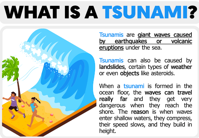 Everything You Need To Know About How The 2004 Indian Ocean Quake Transformed Tsunami Science