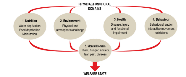 physical and functional Domains