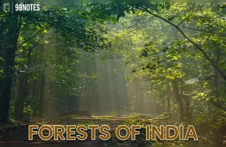 Forests Of India